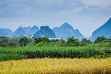 求全本小说