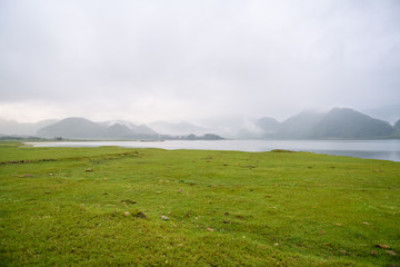 求全本小说
