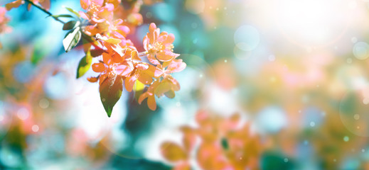 求《瞳のこたえ》歌词的中文发音